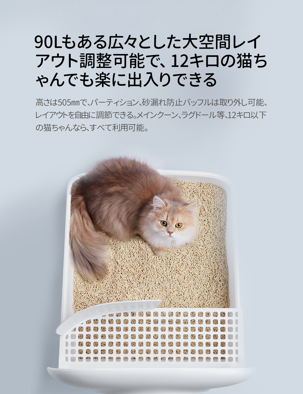 特長6